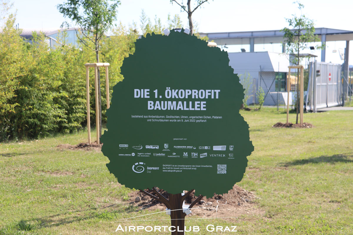 ÖKOPROFIT-Baumallee