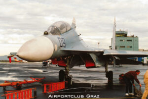 Russian Air Force Sukhoi Su-27 09