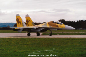 Russian Air Force Sukhoi Su-30 603