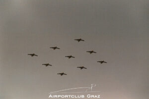 Bundesheer Formation