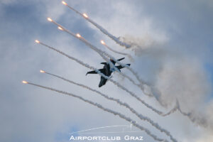 Finnish Air Force McDonnell Douglas F/A-18C Hornet HN-425