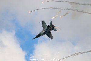 Finnish Air Force McDonnell Douglas F/A-18C Hornet HN-425