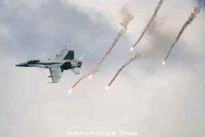 Finnish Air Force McDonnell Douglas F/A-18C Hornet HN-425