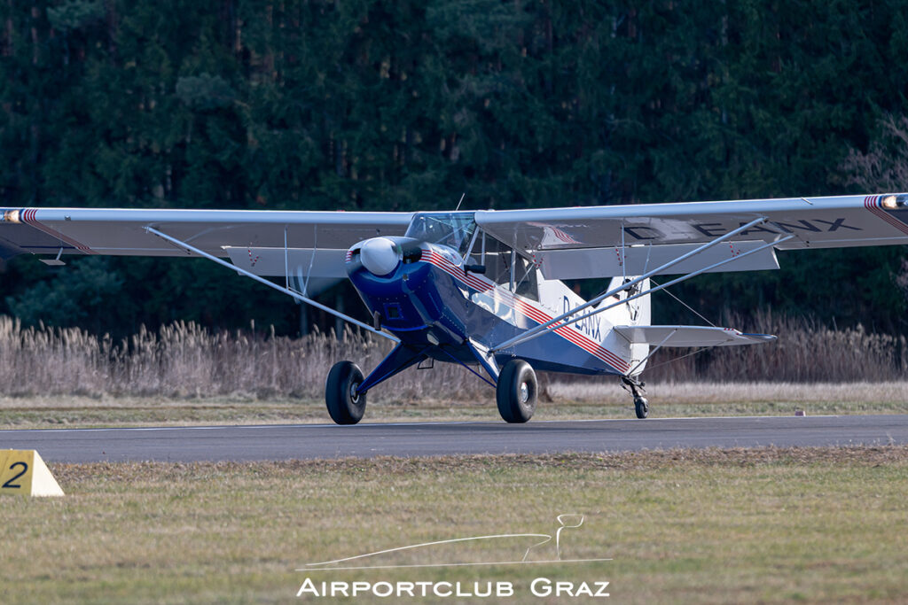 Silvester FlyIn Punitz 2025