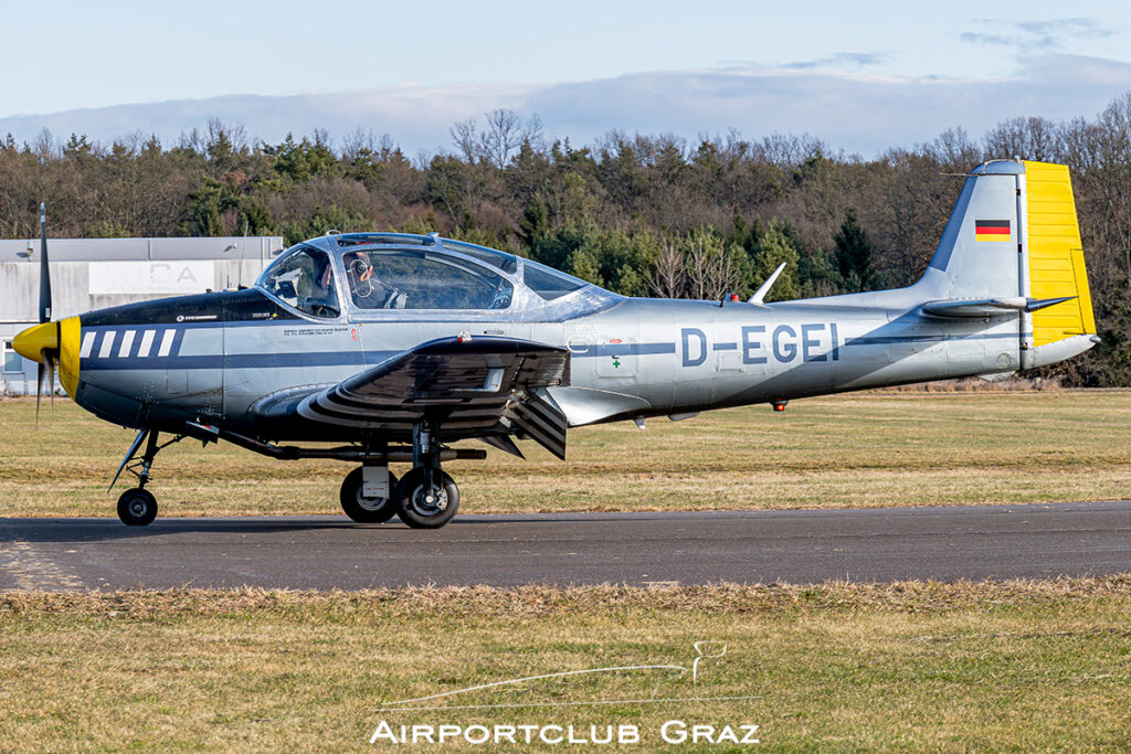 Silvester FlyIn Punitz 2025