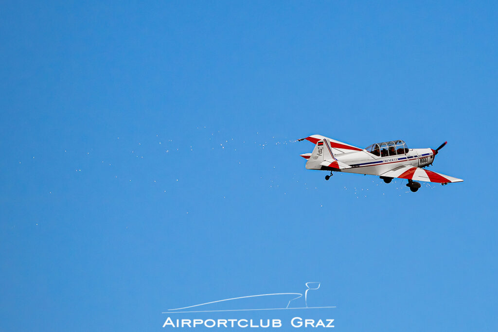 Silvester FlyIn Punitz 2025